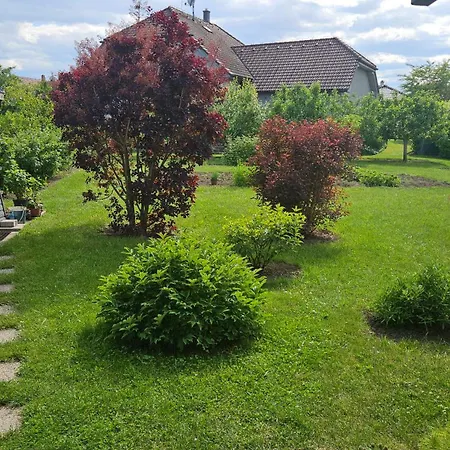 - Utulny Privatni Se Zahradou A Parkovanim U Olomouce - Private House With Garden And Parking Near Olomouc Olsany (Vyskov)
