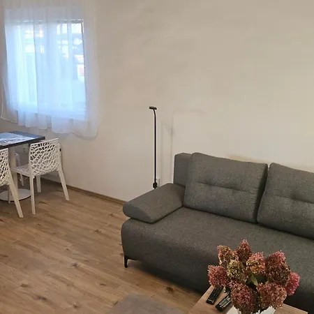 Holiday home - Utulny Privatni Se Zahradou A Parkovanim U Olomouce - Private House With Garden And Parking Near Olomouc Olsany (Vyskov)