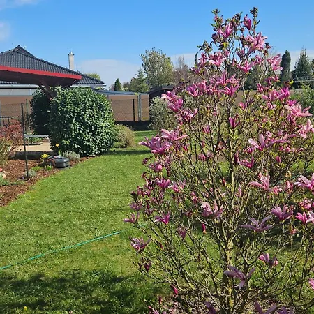 Сasa de vacaciones Olšany - útulný Se Zahradou A Parkováním U Olomouce - House With Garden&parking Near Olomouc Olsany u Prostejova