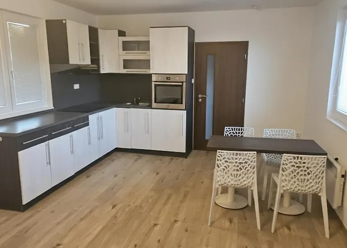 - Utulny Privatni Se Zahradou A Parkovanim U Olomouce - Private House With Garden And Parking Near Olomouc Olsany (Vyskov)