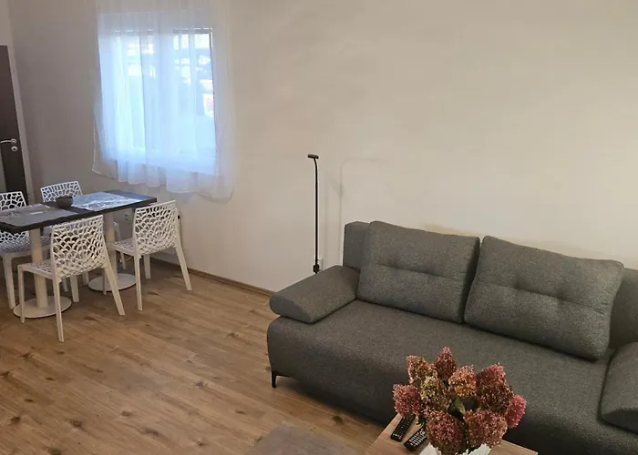 度假居 - Utulny Privatni Se Zahradou A Parkovanim U Olomouce - Private House With Garden And Parking Near Olomouc Olsany (Vyskov)